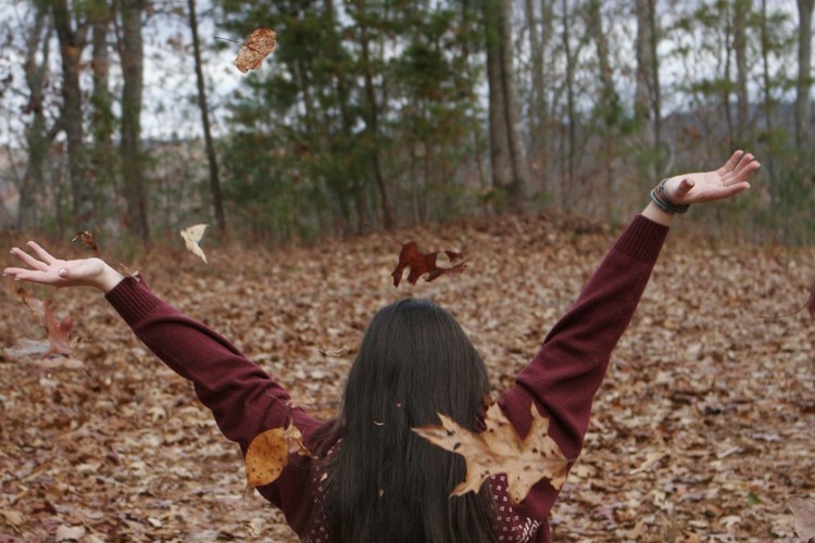 Autumn Reverie - Floating Leaves Joy