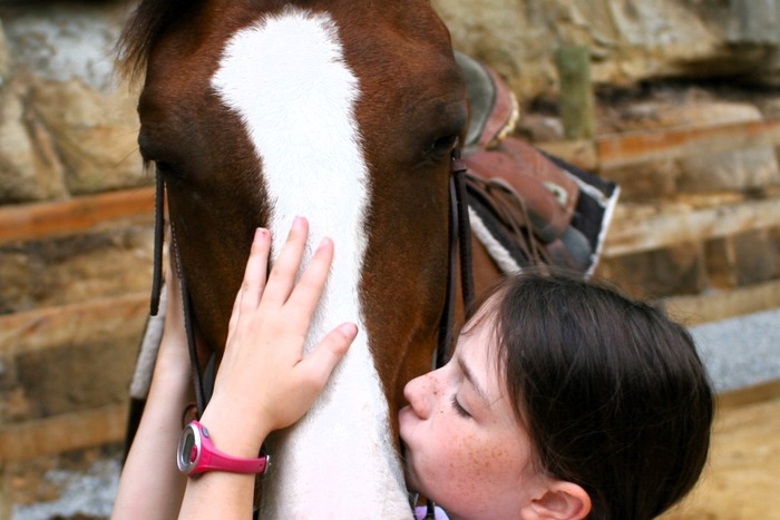 Sacred Kinship - Affection with Horse Companion